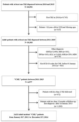 Patterns of Tyrosine Kinase Inhibitor Utilization in Newly Treated Patients With Chronic Myeloid Leukemia: An Exhaustive Population-Based Study in France